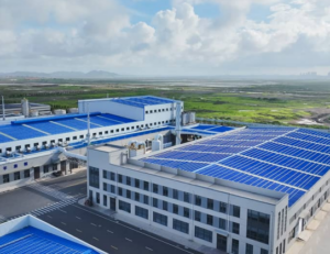 Saillage Showcases Advances in High-Performance Substrate BOPP Film